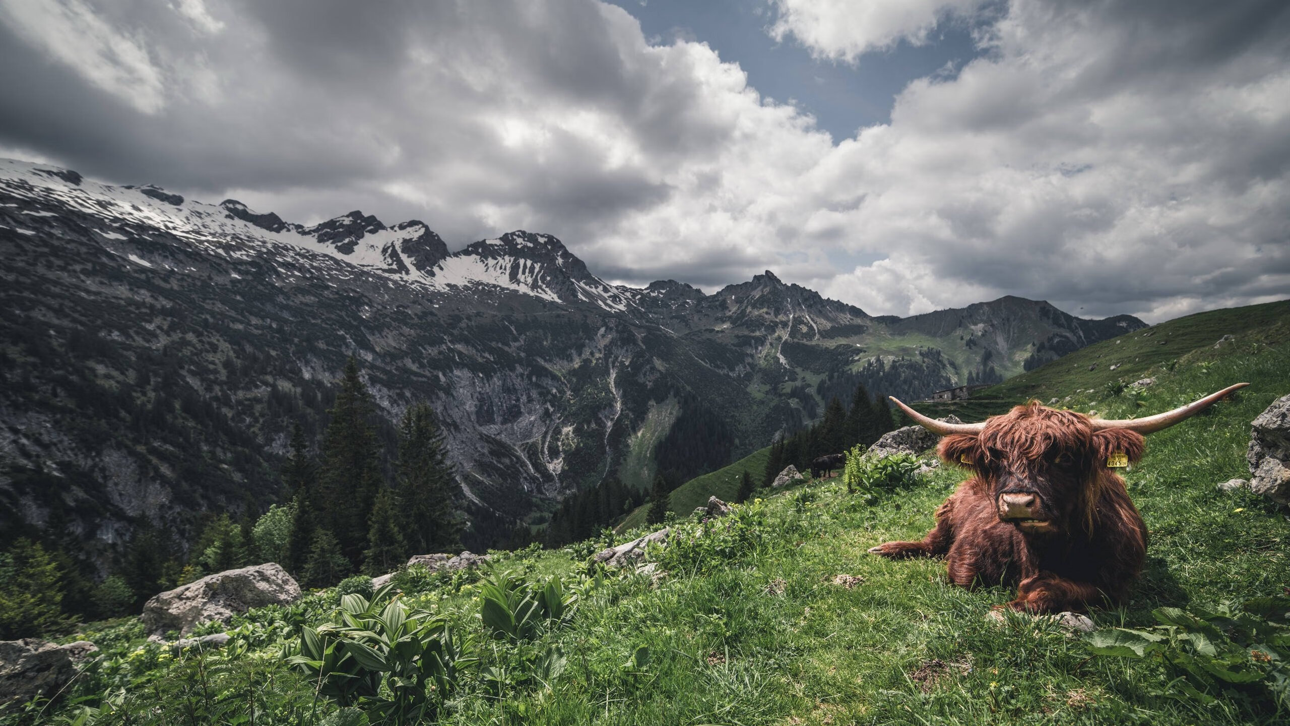 球员职业发展道路模糊不清，职业球员的定义
