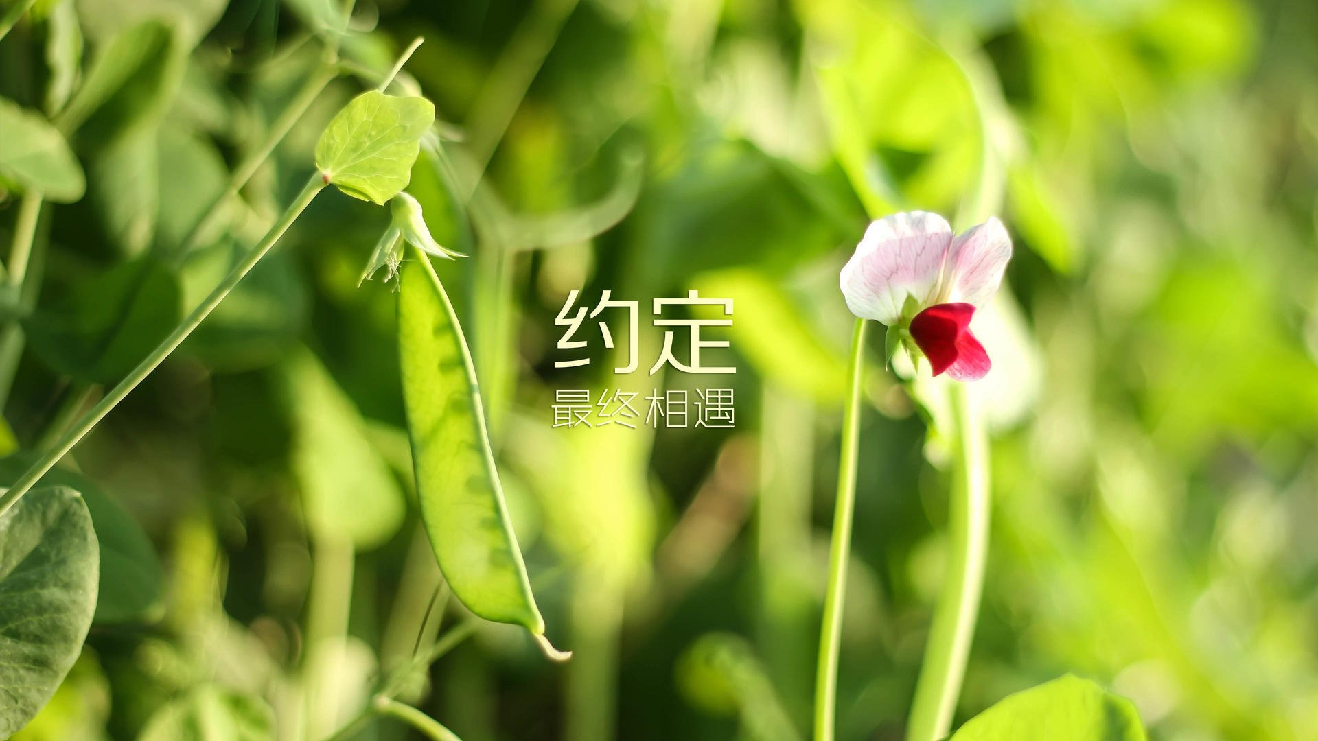 争夺战：各大联赛冲刺阶段的焦点战役汇总，争夺战是什么